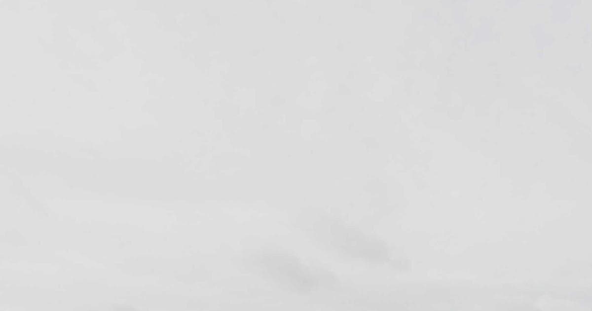 Building Laelko's Brand Identity from Zero to Market Leader